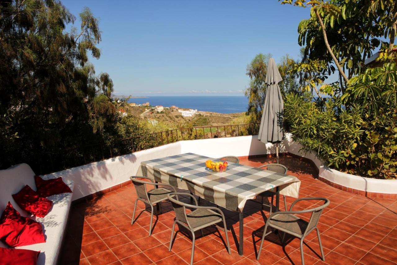 Parasol - Finca Tabaiba By Tor Icod De Los Vinos Exteriör bild