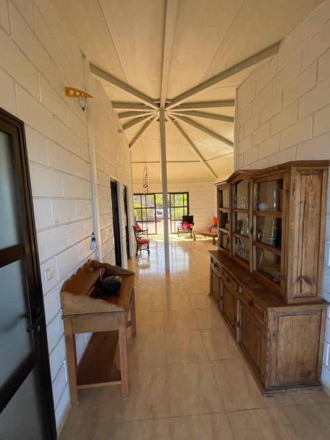 Parasol - Finca Tabaiba By Tor Icod De Los Vinos Exteriör bild