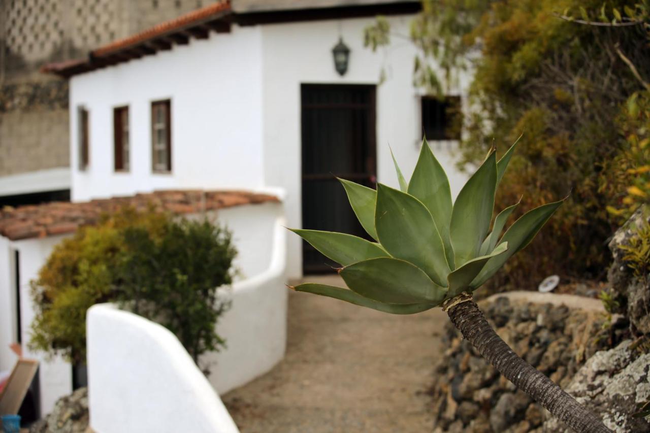Parasol - Finca Tabaiba By Tor Icod De Los Vinos Exteriör bild